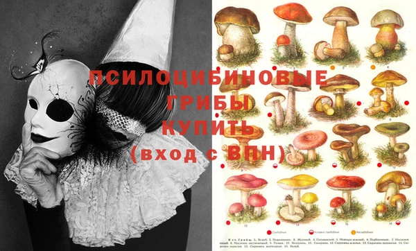 альфа пвп Абинск